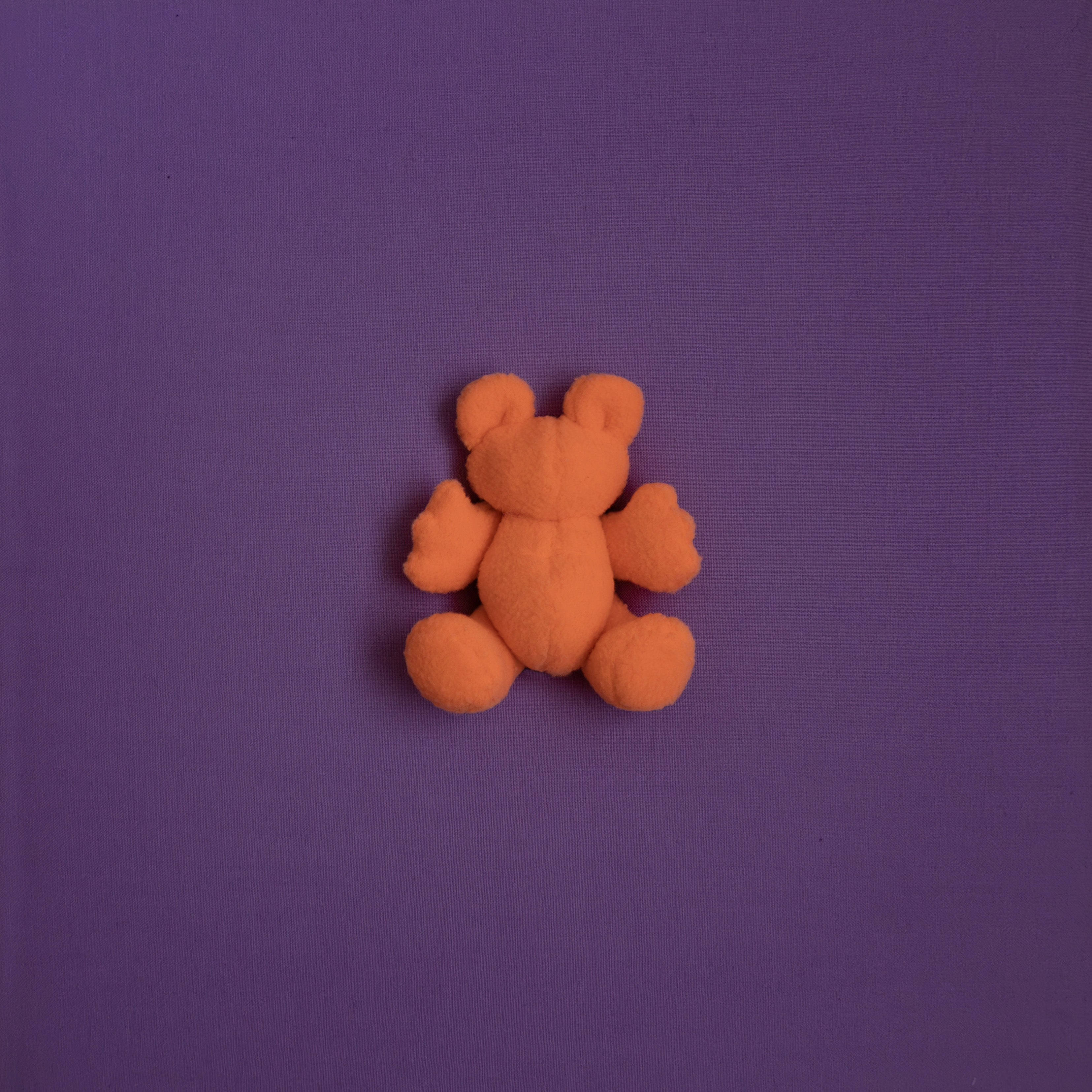 Bearings (Purple/Orange)